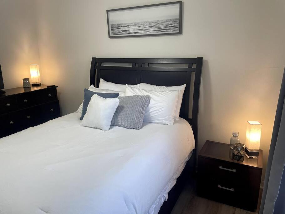 טאמפה Riverside Riviera At Seminole Heights מראה חיצוני תמונה