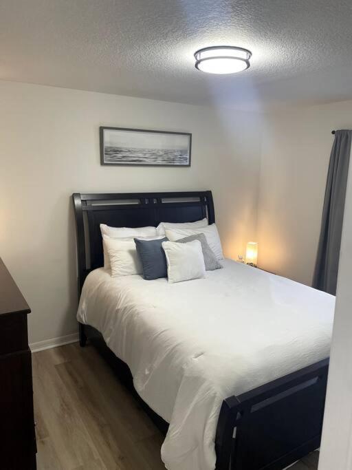 טאמפה Riverside Riviera At Seminole Heights מראה חיצוני תמונה